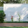 Set da 2 graticci per rampicanti Relaxdays, da giardino, Anteprima dell’immagine prodotto 2