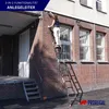 Sprossen-Mehrzweckleiter APOLLO | 3-in-1 Aluminiumleiter | Produktbild-Vorschau 6