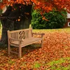 CLP Teakbank Florida teak Größe 180 cm Produktbild-Vorschau 4