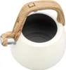 Klausberg Bollitore a gas in acciaio da 2,5 l KB7775 Anteprima dell’immagine prodotto 3