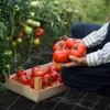 Jiubiaz vello per erbacce da giardino vello protettivo Anteprima dell’immagine prodotto 6
