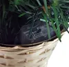 Geschmückter Weihnachtsbaum mit 20er LED Lichterkette - Produktbild-Vorschau 9