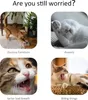Katzenspielzeug zum Aufhängen an der Tür, für Katzen, Produktbild-Vorschau 6