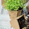 Rašelinové květináče 15,5 x 11 x 5 cm/ 120ks Náhled obrázku produktu 15