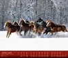 Kalender 2027: 500 Jahre Pferdezucht – Ältestes deutsches Produktbild-Vorschau 3
