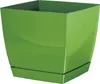 Blumentopf viereckig Coubi mit Untersetzer 12 cm olivgrün Produktbild-Vorschau 1