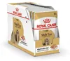 ROYAL CANIN BHN Shih Tzu Adult Futterpastete 12x85g Produktbild-Vorschau 1