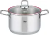 A stainless steel pot with a glass lid and red trim, shown on a white background. Anteprima dell’immagine prodotto