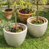 esotec System nawadniania słonecznego WaterDrops Podgląd zdjęcia produktu 4