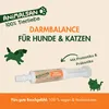 Animalsan DarmBalance 64ml – vegane Paste für Hunde & Produktbild-Vorschau 2