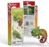 EUGY - 3D Bastelset Chamäleon Productafbeelding-voorbeeld 4