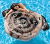 INTEX 58785EU Aufblasbare Matratze Mops Produktbild-Vorschau 6