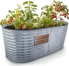 A raised garden bed filled with various vegetables and plants, with a wooden sign attached. Anteprima dell’immagine prodotto