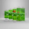 Bild auf Leinwand - Leinwandbild - Marienkäfer Wasser Grün Produktbild-Vorschau 3