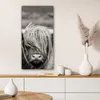 MuchoWow® - Leinwandbilder - Schottischer Highlander - Kuh Produktbild-Vorschau 6