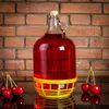 SuperButelki - Zestaw 6x GĄSIOR 5L balon, dama, butelka na Podgląd zdjęcia produktu 7