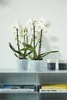ELHO Obal Brussels Orchid 16 cm, čirá Náhled obrázku produktu 6