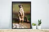 MuchoWow® MuchoWow® Gerahmtes Poster Erdmännchen - Tier - Produktbild-Vorschau 4