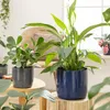 Scheurich Solido, Blumentopf aus Keramik,  Farbe: Mystic Produktbild-Vorschau 4