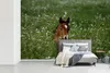 MuchoWow® Fototapete für Wohnzimmer oder Schlafzimmer Produktbild-Vorschau 5