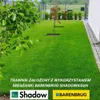 Trawa samozagęszczająca BARENBRUG Na Teren Zacieniony Podgląd zdjęcia produktu 7