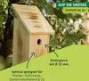 Vogel-Nistkasten für Kleiber, Kohlmeise & Gartenrotschwanz Produktbild-Vorschau 3