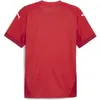 Puma Teamfinal Trikot Kurzarm Herren - Rot  | Größe: L Produktbild-Vorschau 2