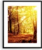 Gerahmtes Poster - Schwarzer Rahmen - Wald Baum Natur - Produktbild-Vorschau 1