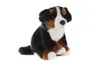 A plush toy dog sitting on a white background. Podgląd zdjęcia produktu