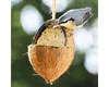 dobar Vogelfutter-Mix zum Aufhängen, gefüllte Kokosnüsse Produktbild-Vorschau 7