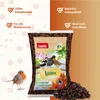 PANTO Rosinen 1kg - Wildvogelfutter Streufutter Produktbild-Vorschau 2
