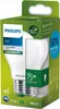 Philips lampadina a filamento opaco 75 W A60 E27 Anteprima dell’immagine prodotto 2