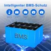 12V 200Ah LiFePO4 Lithium Akku 2560Wh mit BMS, 4500+ Produktbild-Vorschau 4