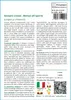 SAFLAX  - Ginepro cinese - 30 semi - Con substrato - Anteprima dell’immagine prodotto 3