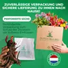 Pfingstrosen Pflanzen Winterhart Coral Passion - 1 Wurzel - Produktbild-Vorschau 3