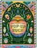 Das unglaubliche Pop-up-Buch - Insekten Voir les images du produit 1