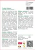 SAFLAX - Torebka Pasterza - 1000 Nasiona - Capsella Podgląd zdjęcia produktu 3