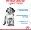 Royal Canin Medium Junior - 4 kg Produktbild-Vorschau 16