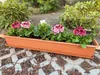 6er Blumenkasten Set Balkonkasten Pflanzkasten Terracotta Produktbild-Vorschau 6