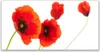 Tulup Leinwand-Bilder 140x70 Wandbild Canvas Kunstdruck Produktbild-Vorschau 1