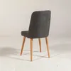 A single chair shown from the back on a white background. Produktbild-Vorschau