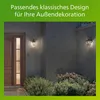 applique myGarden Buzzard Anteprima dell’immagine prodotto 21