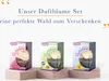 CLENTAIRE Duftblumen Probierpaket 3 x 75ml Raumduft Produktbild-Vorschau 2