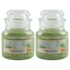 Yankee Candle Afternoon Escape kleine Duftkerze im Glas Produktbild-Vorschau 2