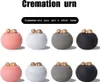 A collection of pet cremation urns with cat figurines on top, displayed in various colors. Podgląd zdjęcia produktu