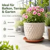 Pflanztopfuntersetzer Mira Terrakotta Ø 19cm - Rund Produktbild-Vorschau 2