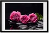 Bild 60x40 MDF-Rahmen, Wandkunst rosa Rosen Produktbild-Vorschau 1