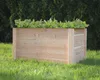 A wooden raised garden bed filled with green plants, sitting on a lawn with a green hedge in the background. Náhled obrázku produktu