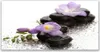 Glasbilder 120x60 Wandbild Druck auf Glas Blumen Steine Produktbild-Vorschau 1