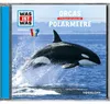 Folge 50: Orcas/Polarmeere Produktbild-Vorschau 2